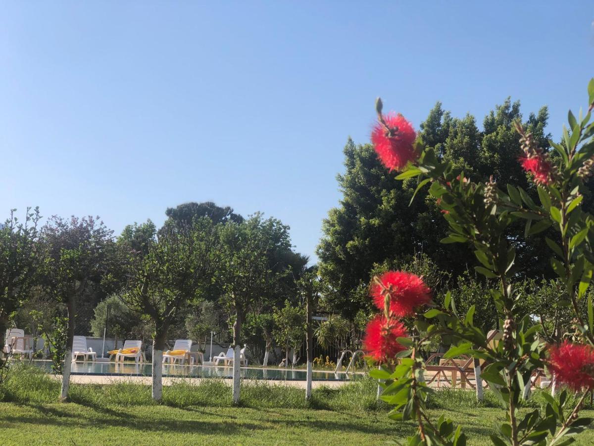 Palme מלון דליאן